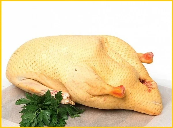 тушки качки